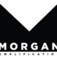 AETechShop-Morgan-Amplification-Guitar-Amplifier-Bass-Amp-Pedal-Tech-Electronics-Repair-Shop-Atlanta